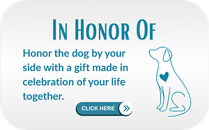 In honor of: honor the dog by your side with a gift made in celebration of your life together. Click here.