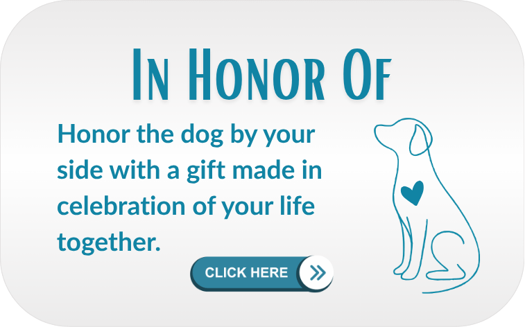 In Honor Of: Honor the dog by your side with a gift made in celebration of your life together.