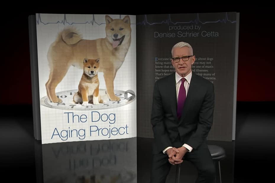 Opening image from 60 minutes episode. Anderson Cooper sitting on a stool in from of a poster for the Dog Aging Project.